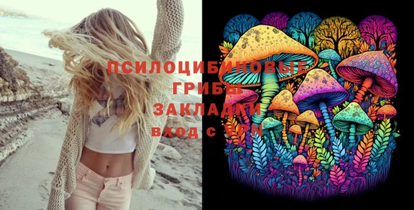 экстази Алексин